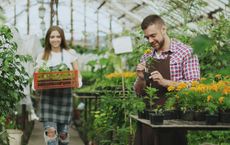 Article Image for Sustainable Operations as a Competitive Differentiator